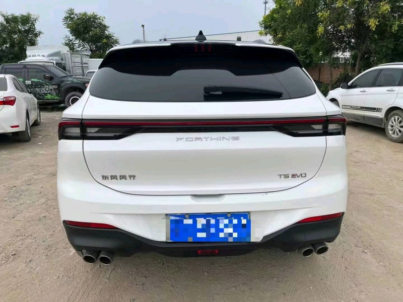 保定22年东风T59