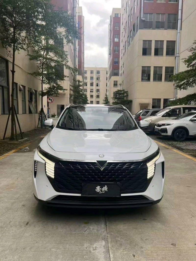 佛山21年啟辰大V1