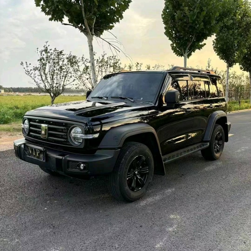 威海24年長城汽車坦克3002