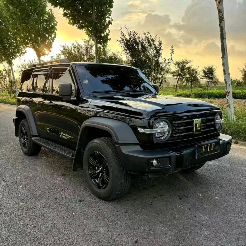 威海24年長城汽車坦克3003