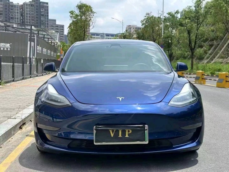 廣州21年特斯拉MODEL 31