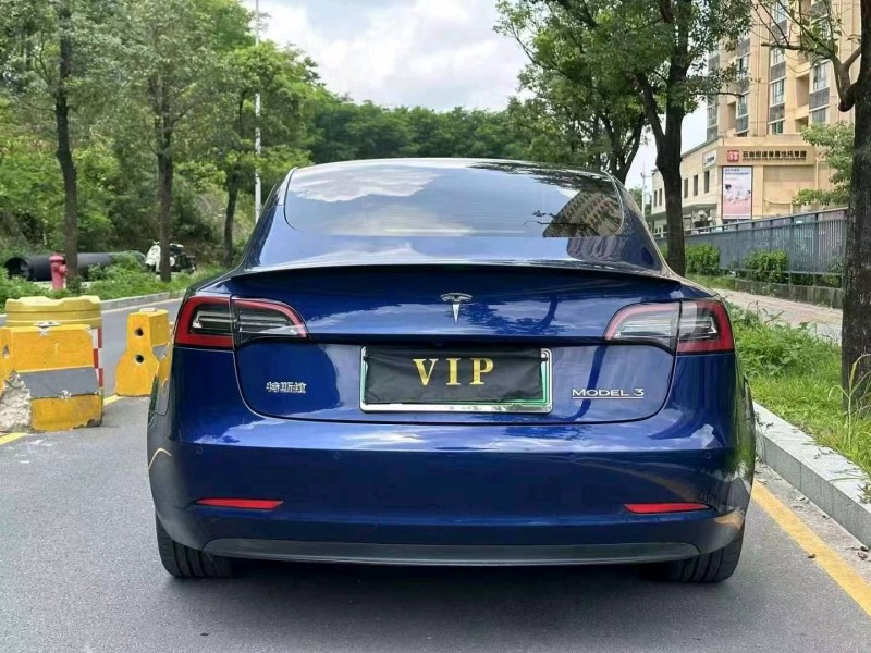 廣州21年特斯拉MODEL 35
