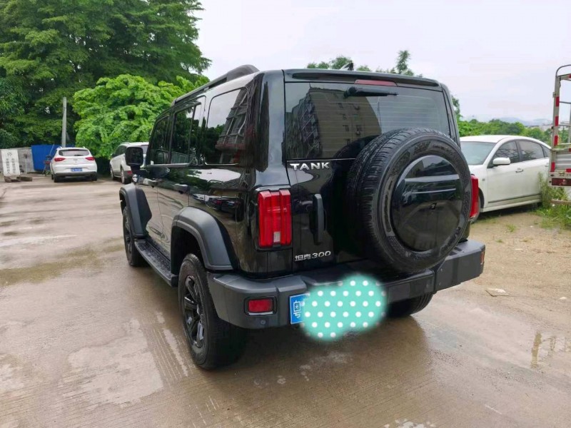 揭陽23年長城汽車坦克3004