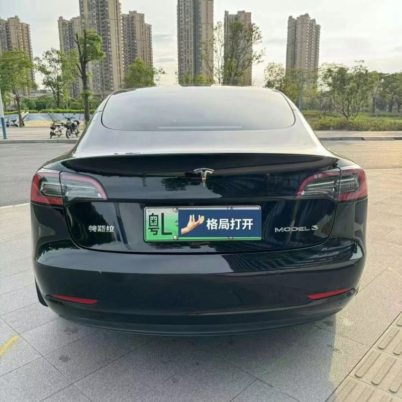東莞22年特斯拉MODEL 39