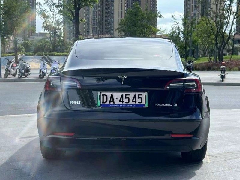 東莞22年特斯拉MODEL 39