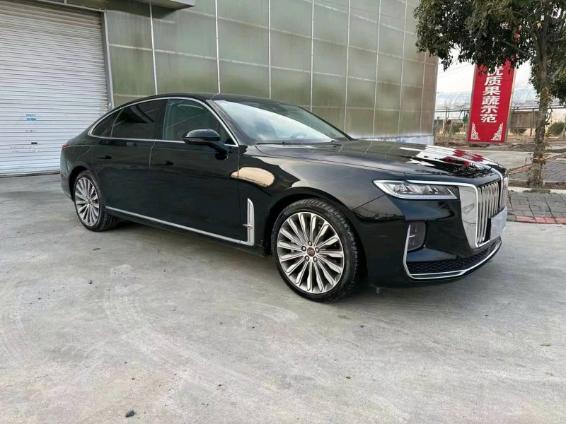 徐州20年红旗H93