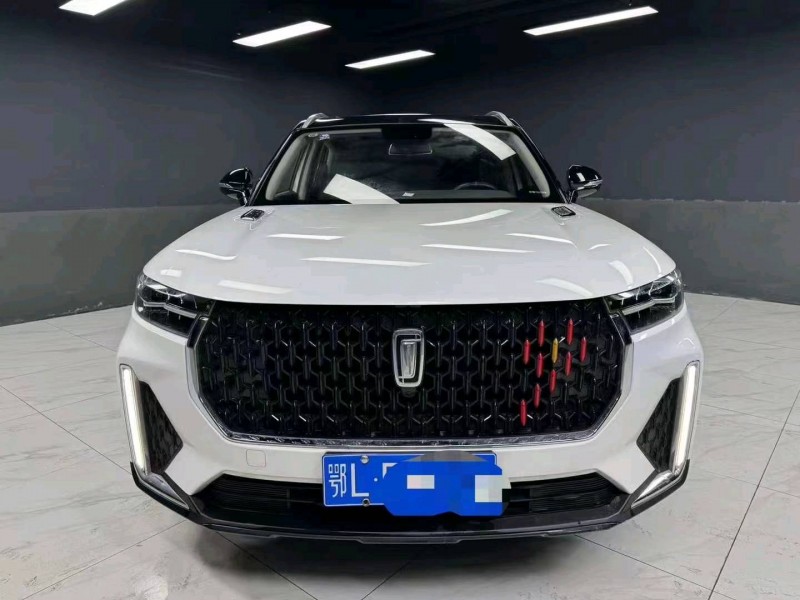 成都20年奔騰T991