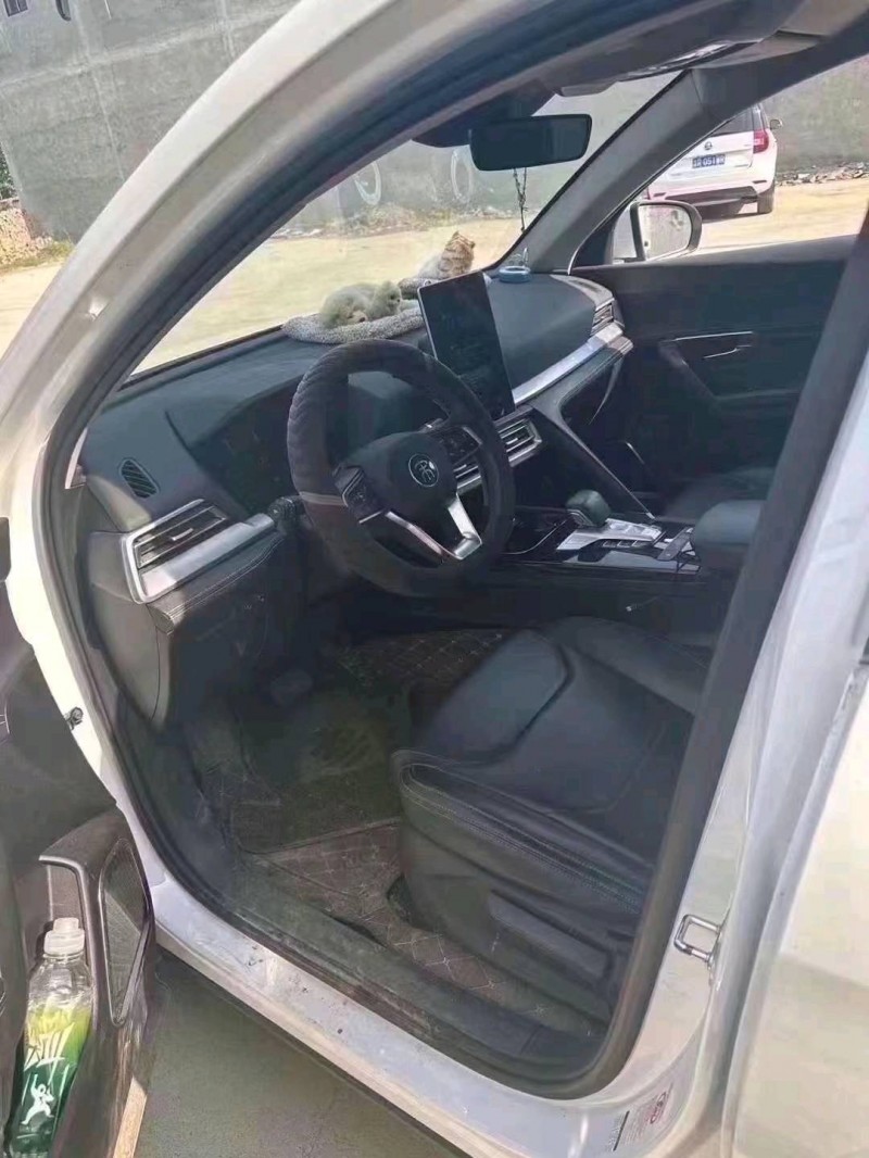 菏泽20年比亚迪宋6