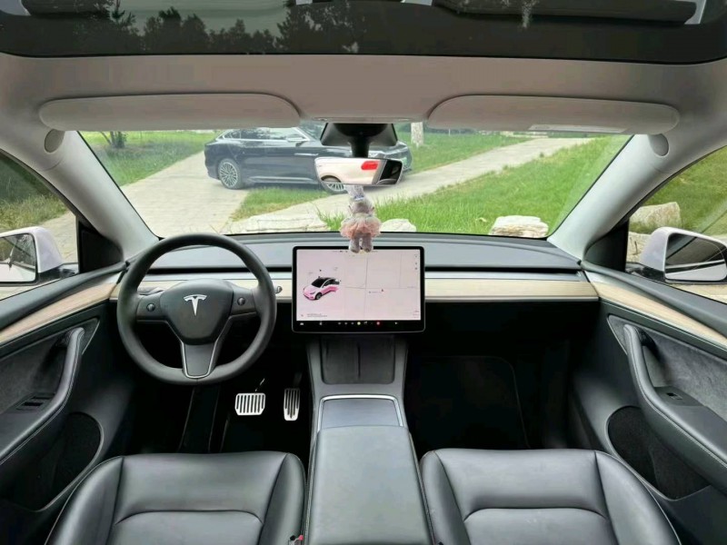 邢臺23年特斯拉MODEL Y8