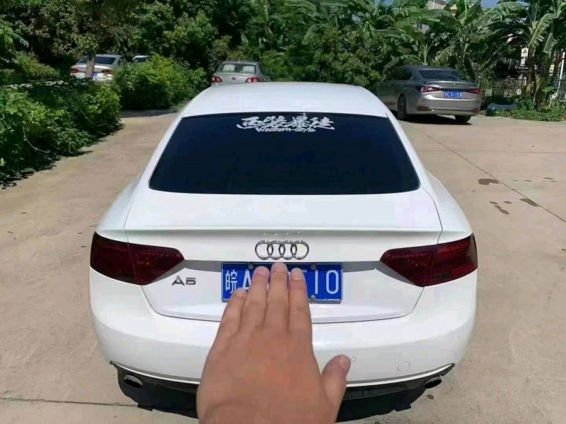 广州13年奥迪A55