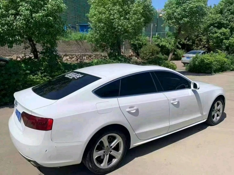 广州13年奥迪A56