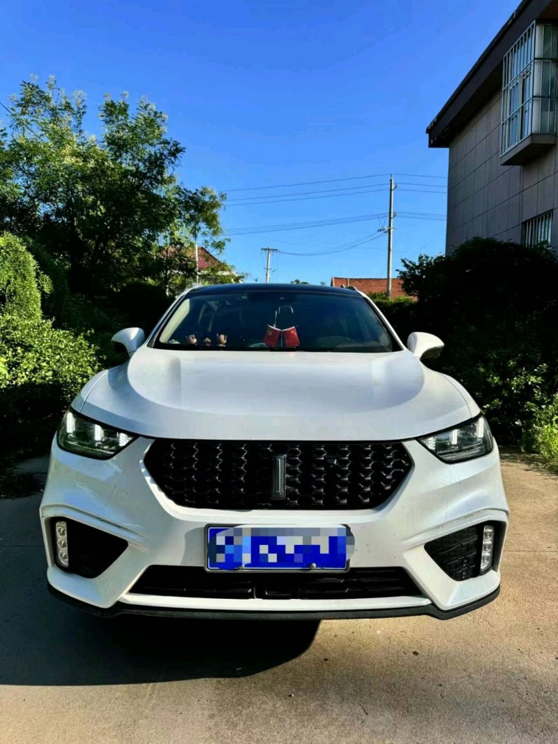 烟台20年长城汽车WEY VV51