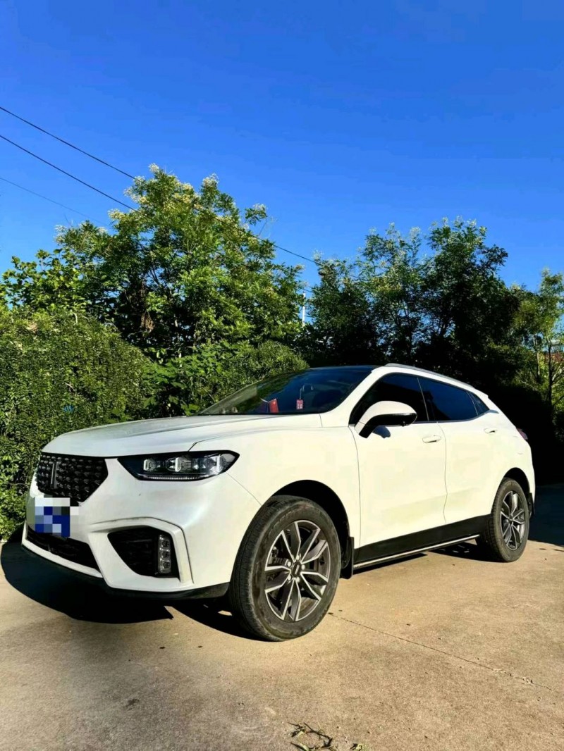 烟台20年长城汽车WEY VV52