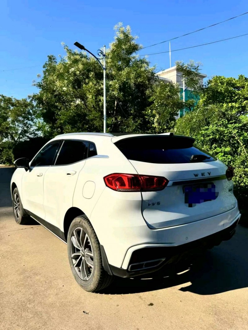 烟台20年长城汽车WEY VV54