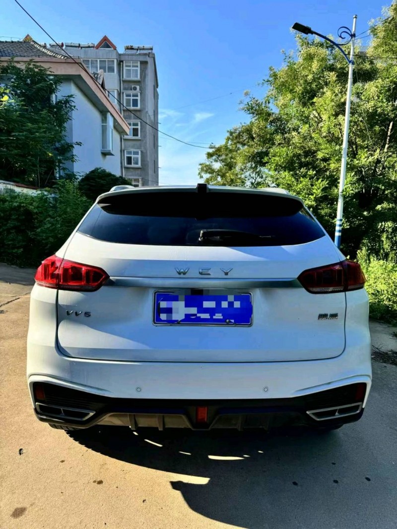 烟台20年长城汽车WEY VV59