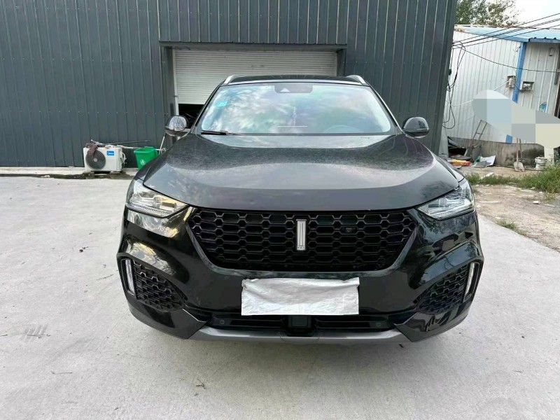 徐州19年长城汽车WEY VV61