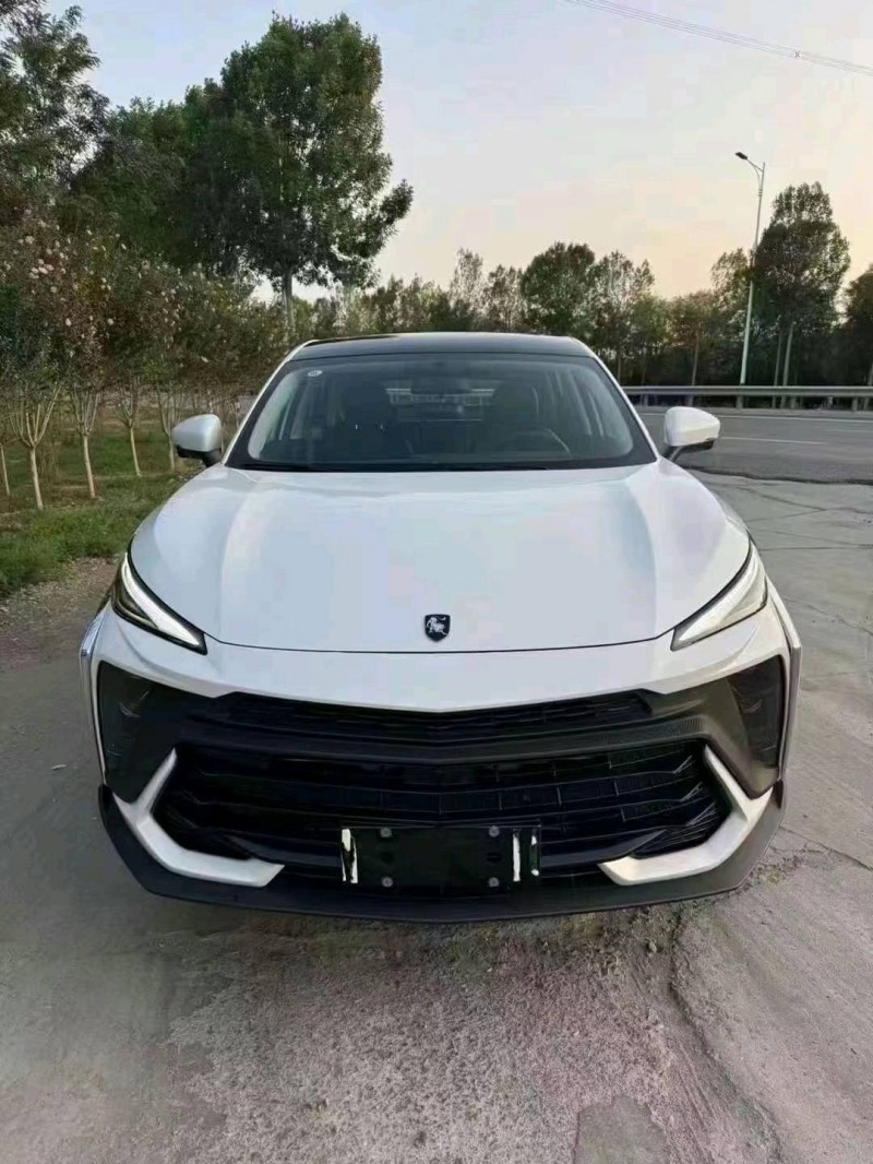 潍坊24年东风T51