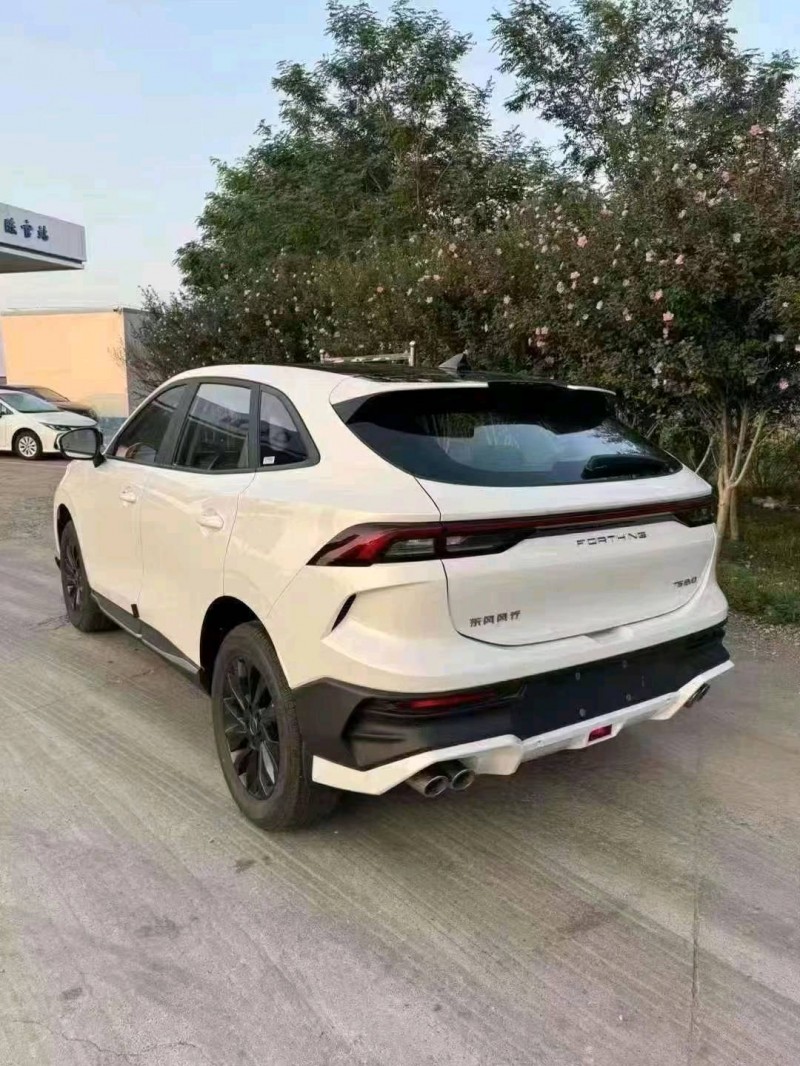 潍坊24年东风T55