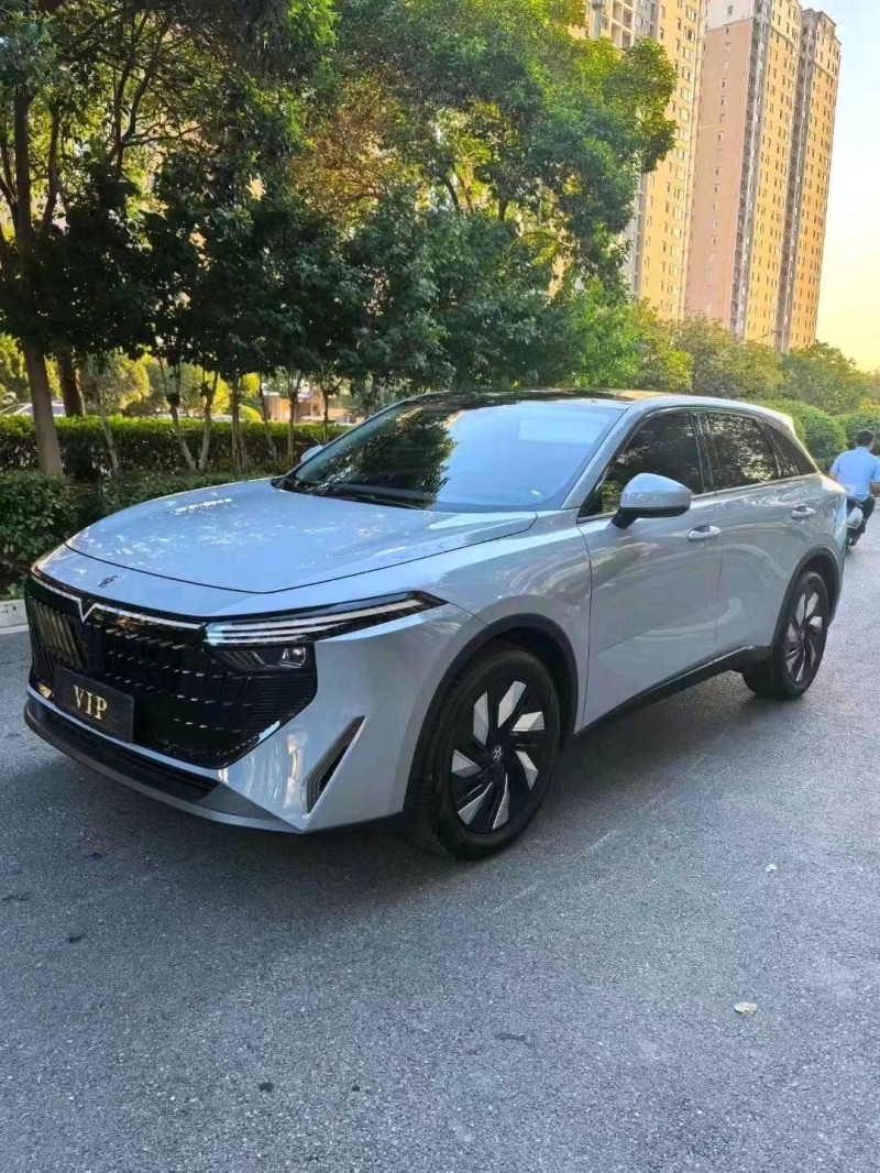 紹興24年啟辰大V4