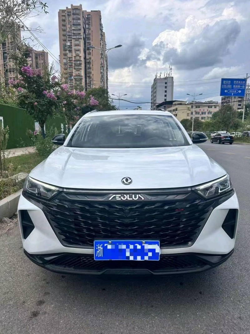 成都24年东风AX7pro1