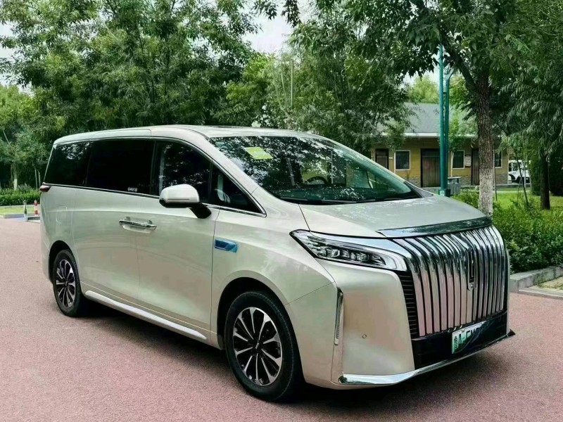 潍坊24年长城汽车魏牌高山3