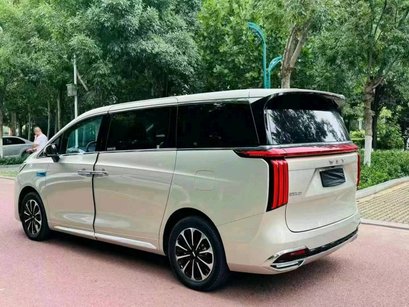 潍坊24年长城汽车魏牌高山4