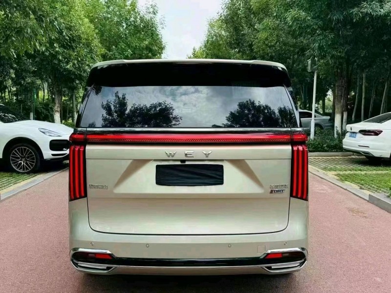 潍坊24年长城汽车魏牌高山5