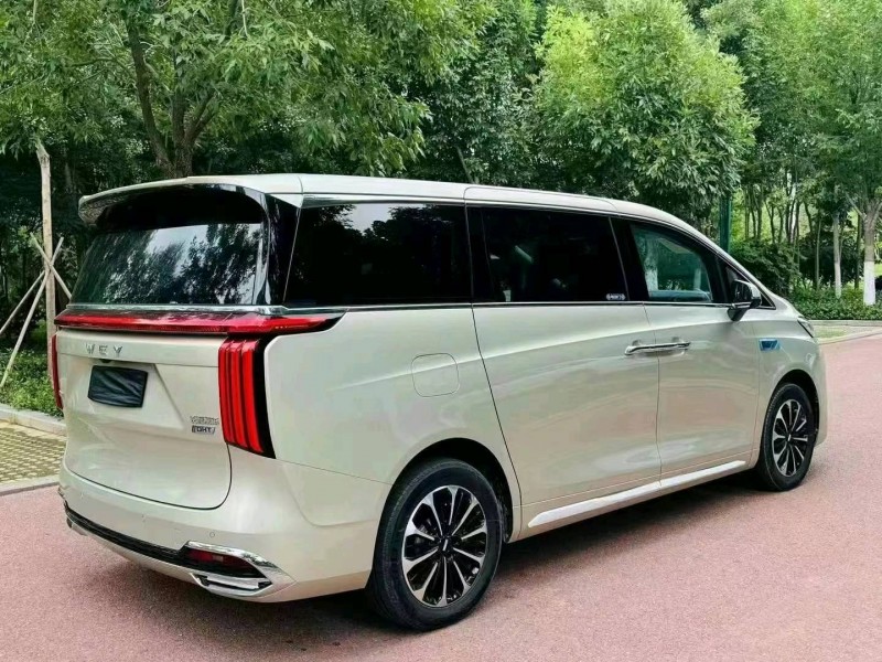 潍坊24年长城汽车魏牌高山6