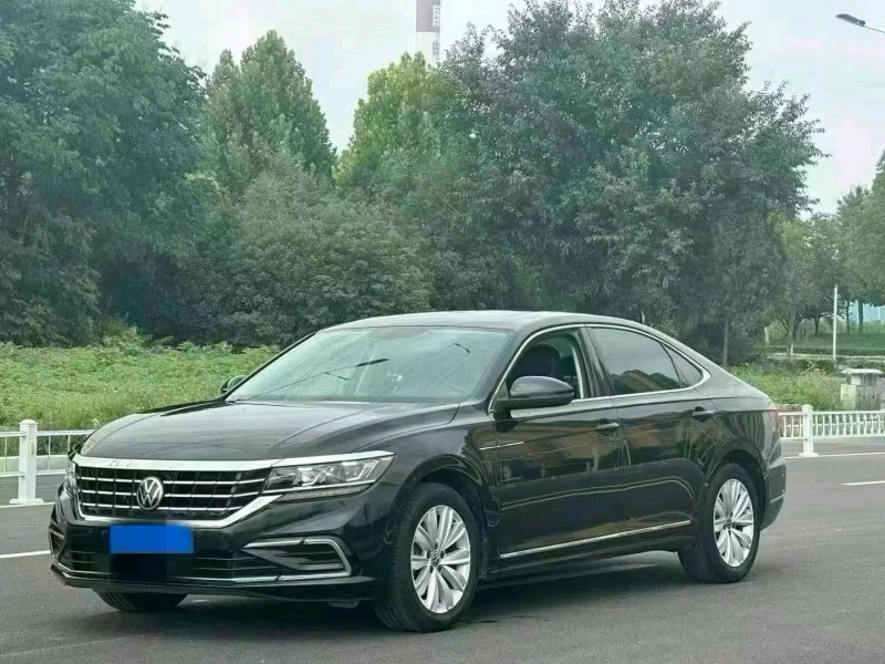 延安21年大眾帕薩特3