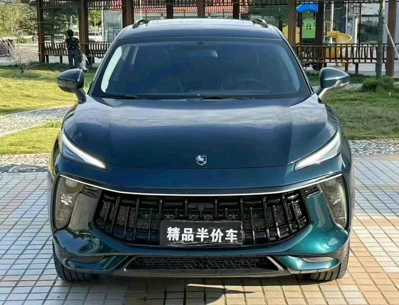 佛山23年东风T51