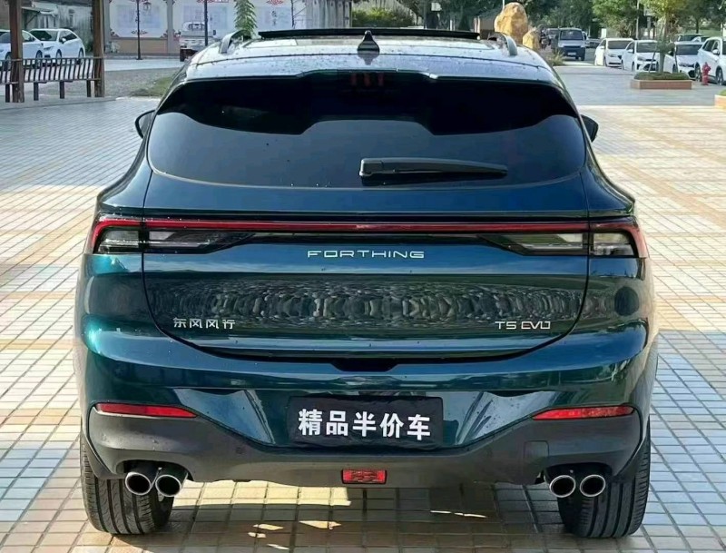 佛山23年东风T59