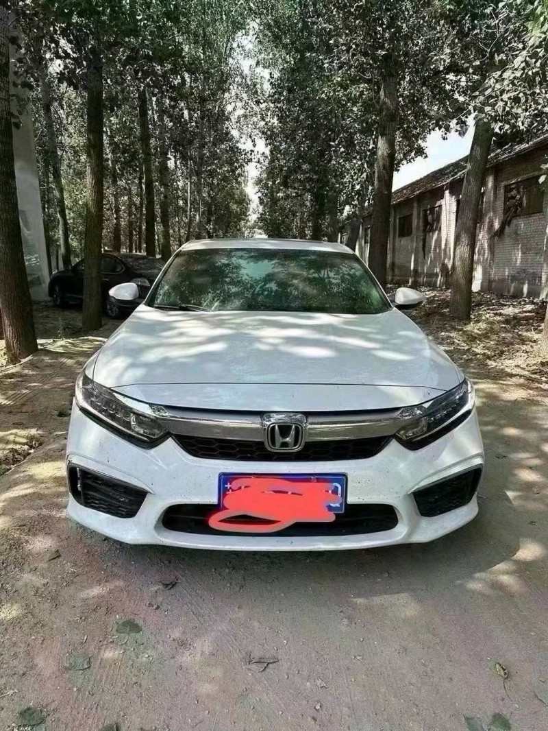 菏泽19年本田英诗派1