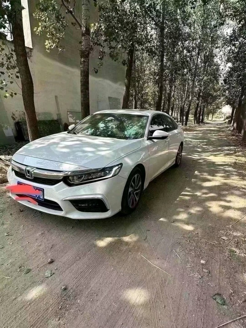 菏泽19年本田英诗派3