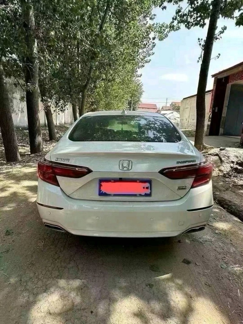 菏泽19年本田英诗派7