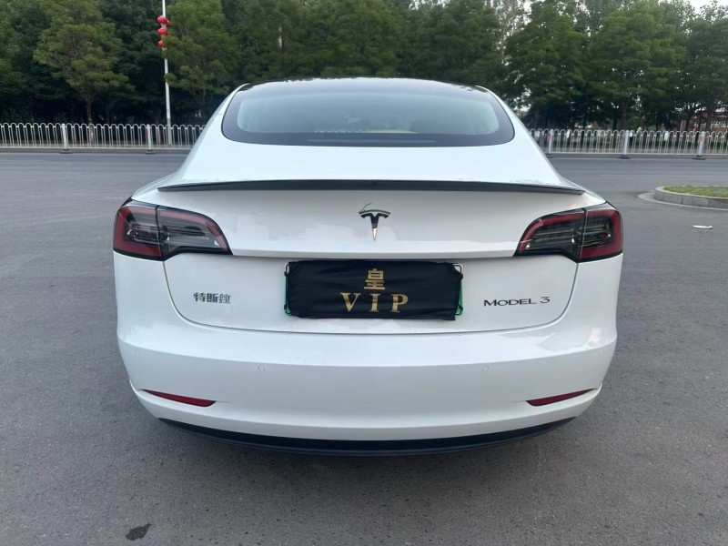 徐州22年特斯拉MODEL 39
