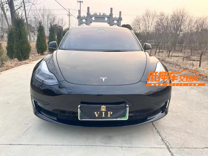 徐州21年特斯拉MODEL 31
