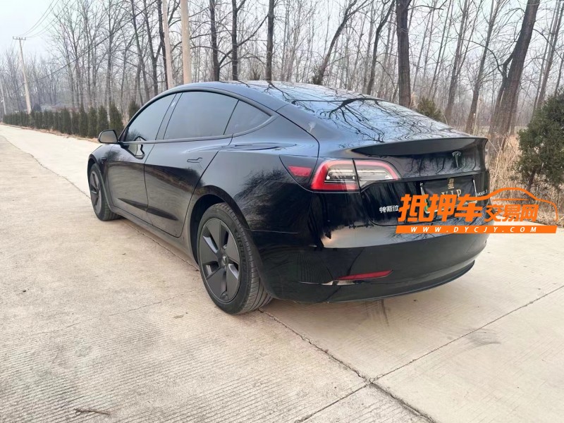 徐州21年特斯拉MODEL 34
