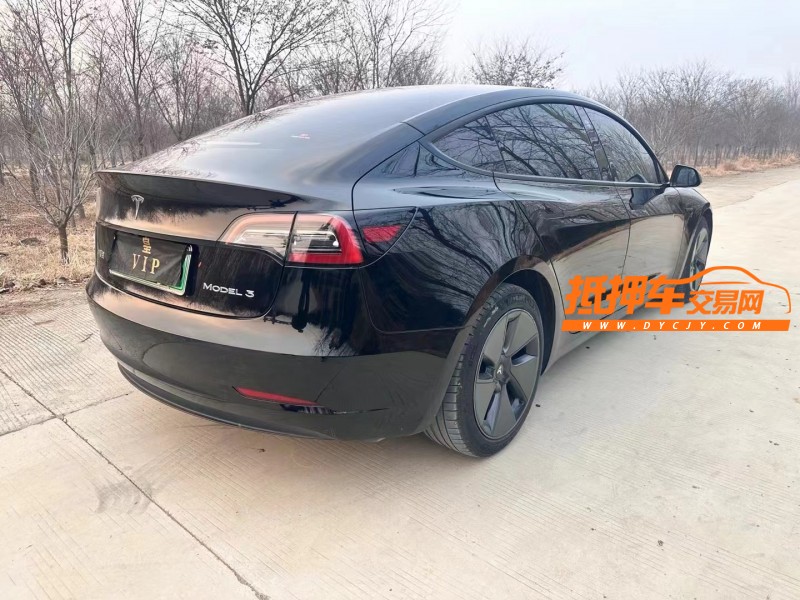 徐州21年特斯拉MODEL 35