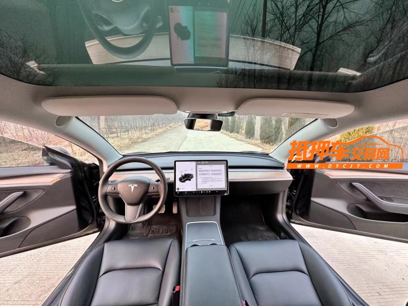 徐州21年特斯拉MODEL 37