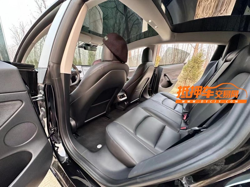 徐州21年特斯拉MODEL 38