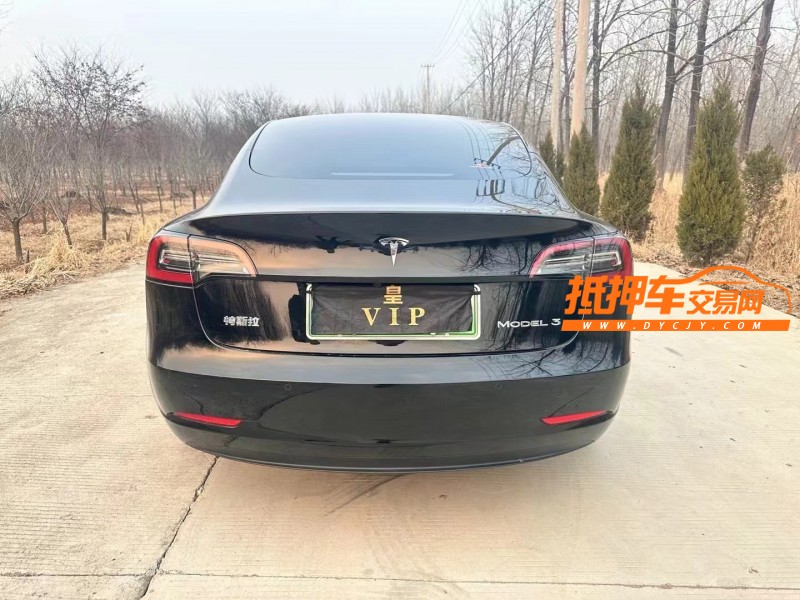 徐州21年特斯拉MODEL 39