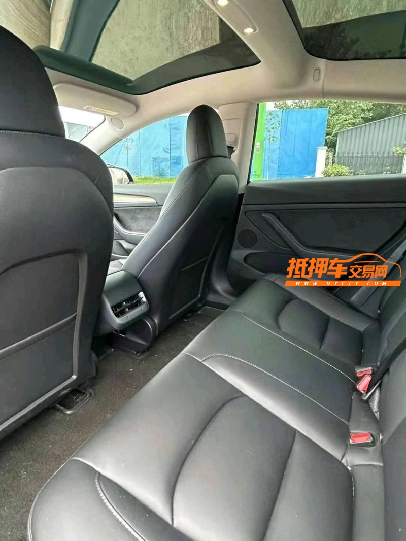 徐州22年特斯拉MODEL 38