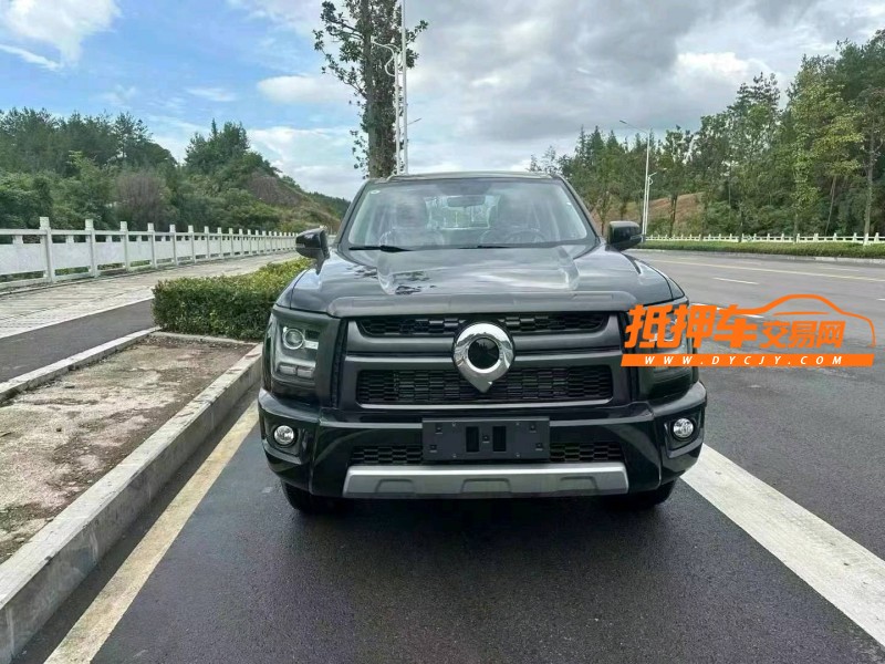 武汉24年长城汽车炮 皮卡1