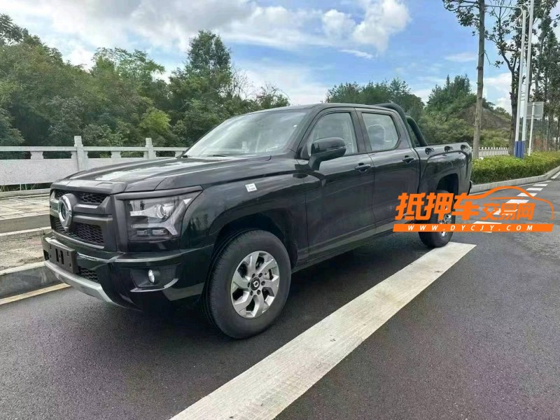 武汉24年长城汽车炮 皮卡2