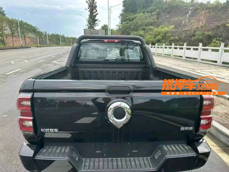 武汉24年长城汽车炮 皮卡7