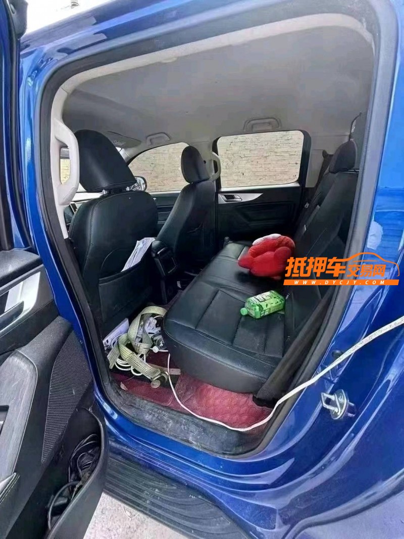 德州22年長城汽車炮 皮卡7