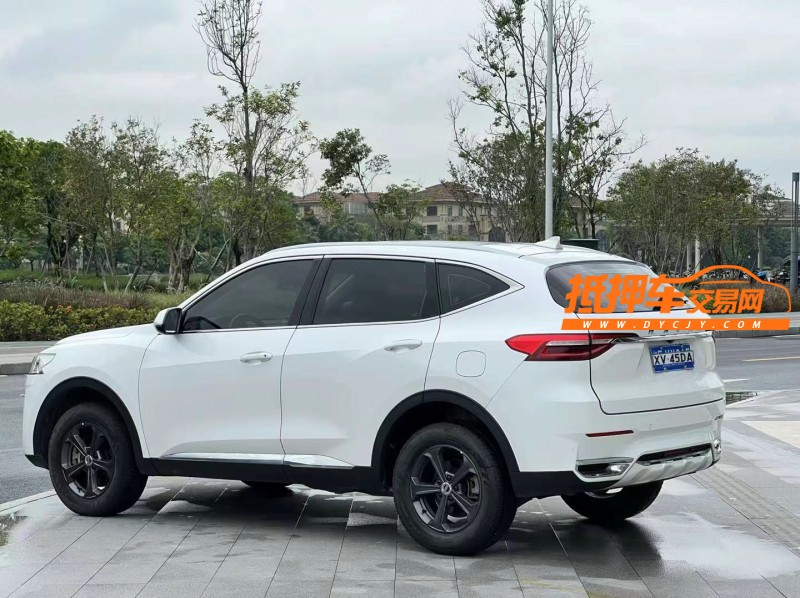 东莞20年哈弗F74