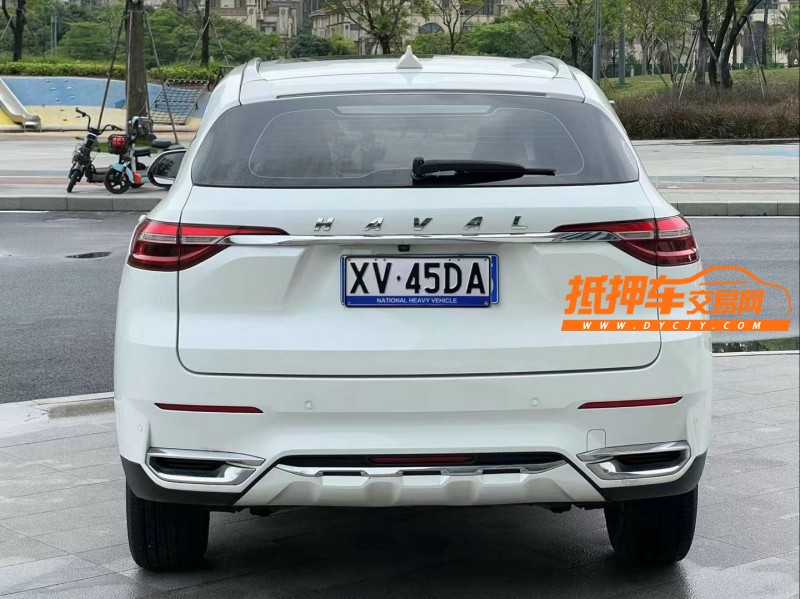 东莞20年哈弗F79