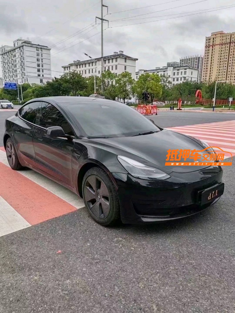 淮北22年特斯拉MODEL 33
