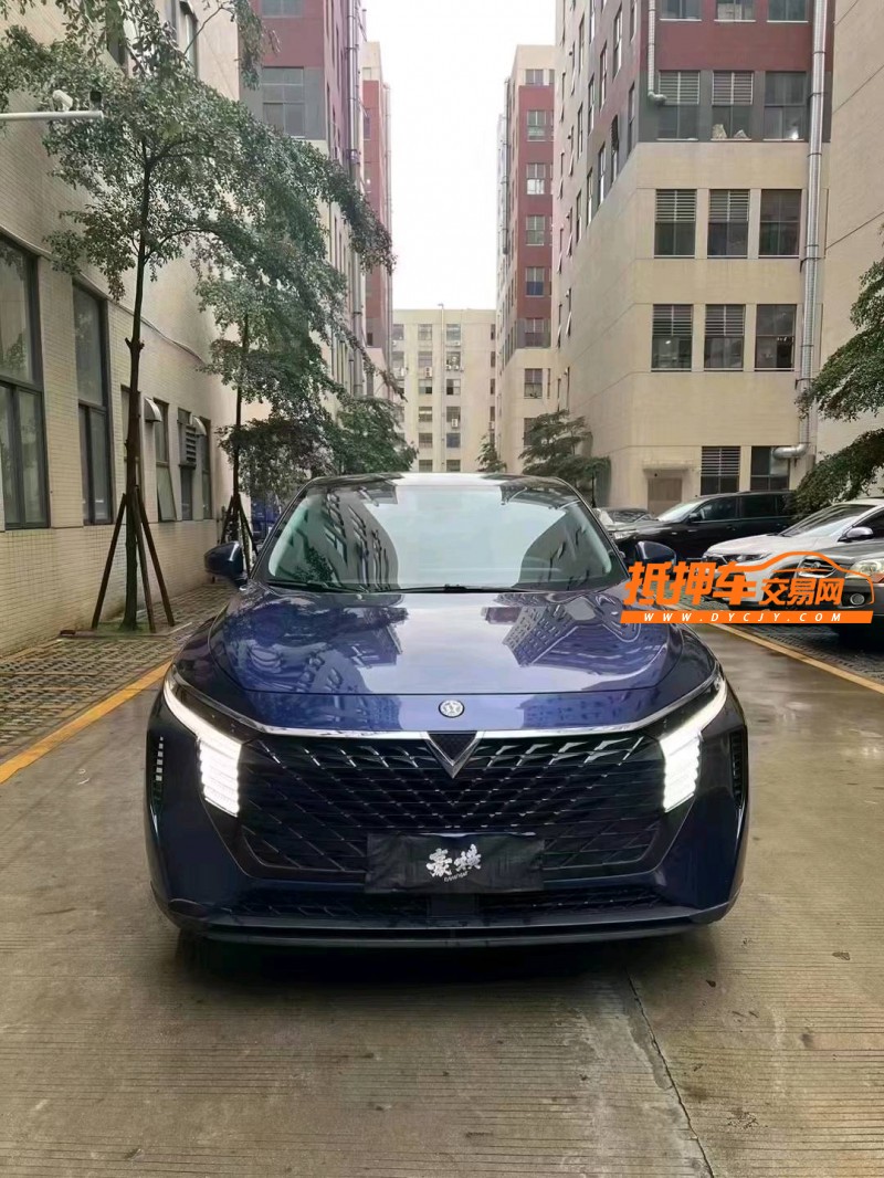 佛山22年啟辰大V1